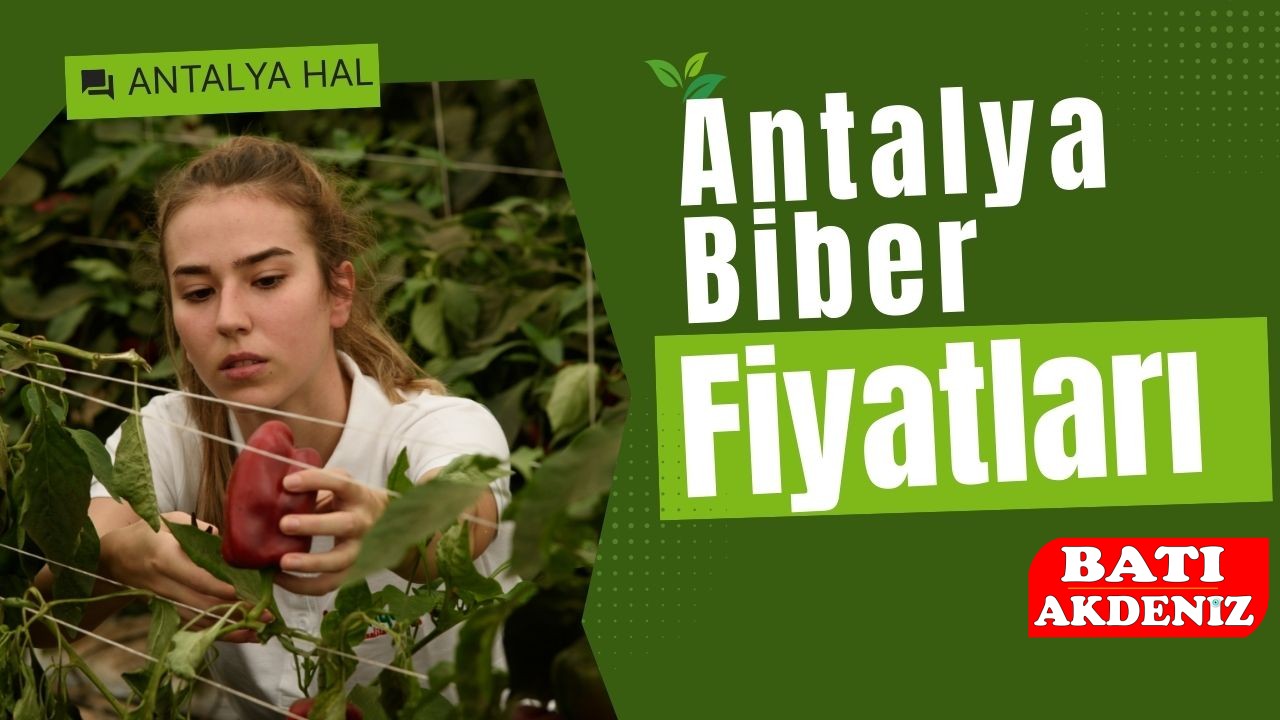 Antalya Biber Fiyatları Antalya Biber Fiyatları