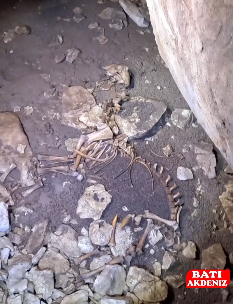 K E S I F I C I N G I R D I K L E R I M A G A R A D A H U R D A O T O 1110566 329666