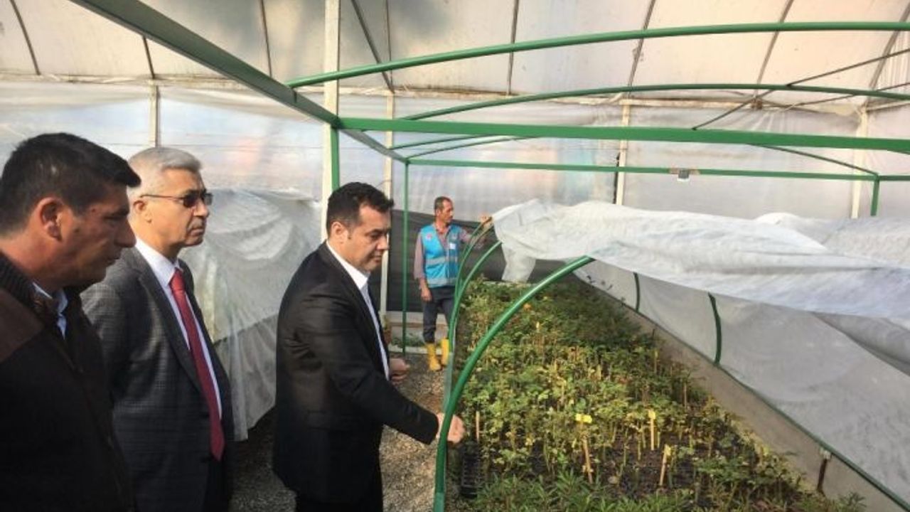 Alanya Belediyesi bitki ve çiçek üretiminden 2,5 milyon TL tasarruf sağladı