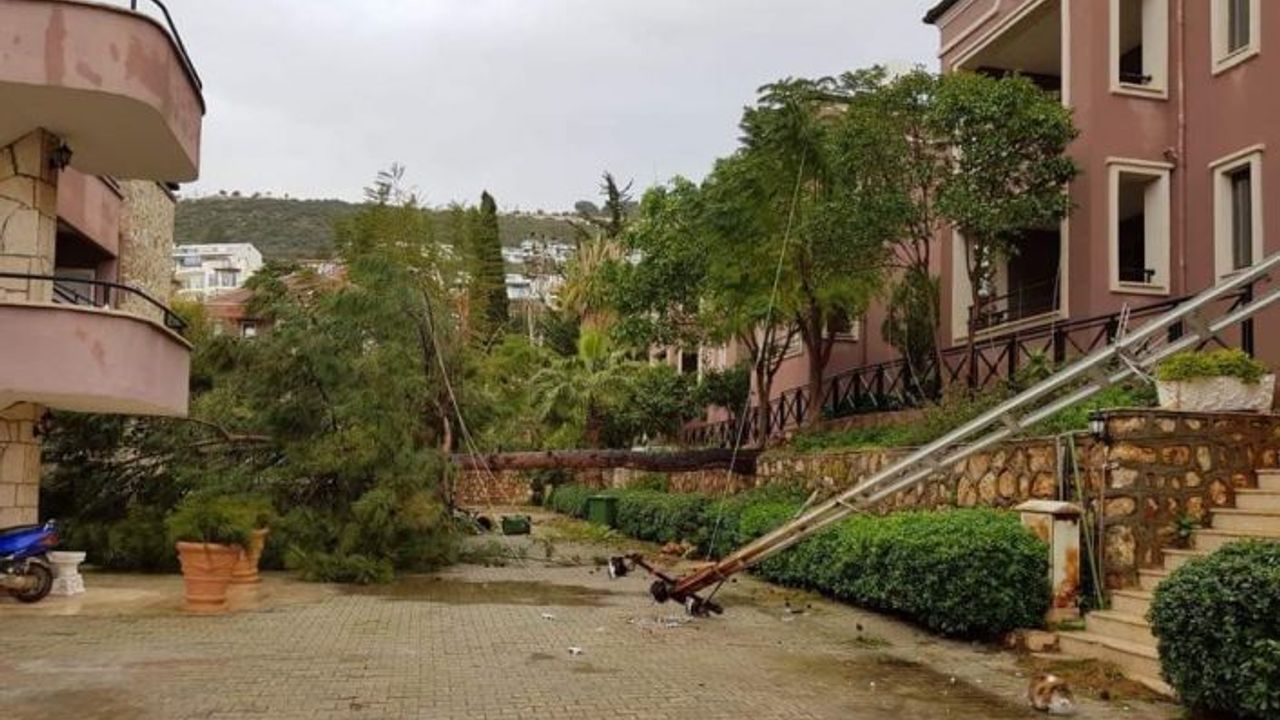 Fırtına, turizm merkezi Kalkan’da ağaçları devirdi, çatıları uçurdu