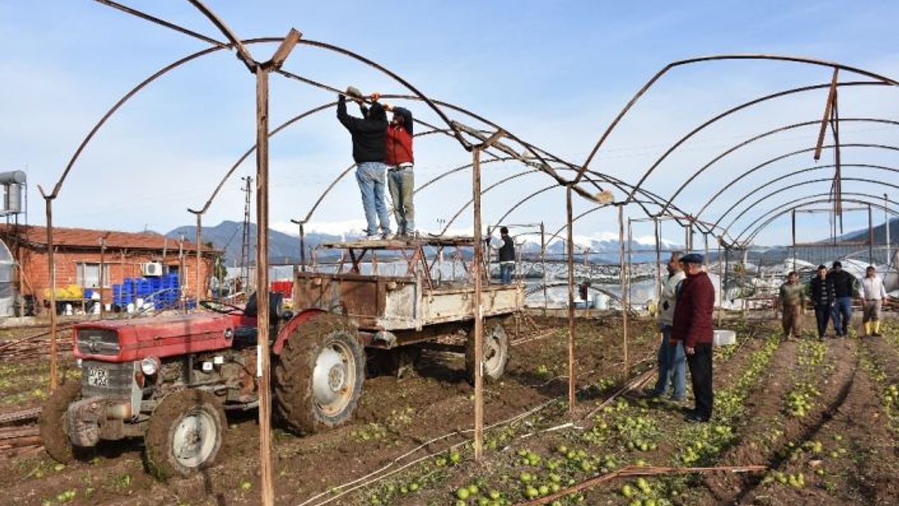 TARSİM sigortası olan üreticiler seralarını yeniden kurma çalışmalarına başladı