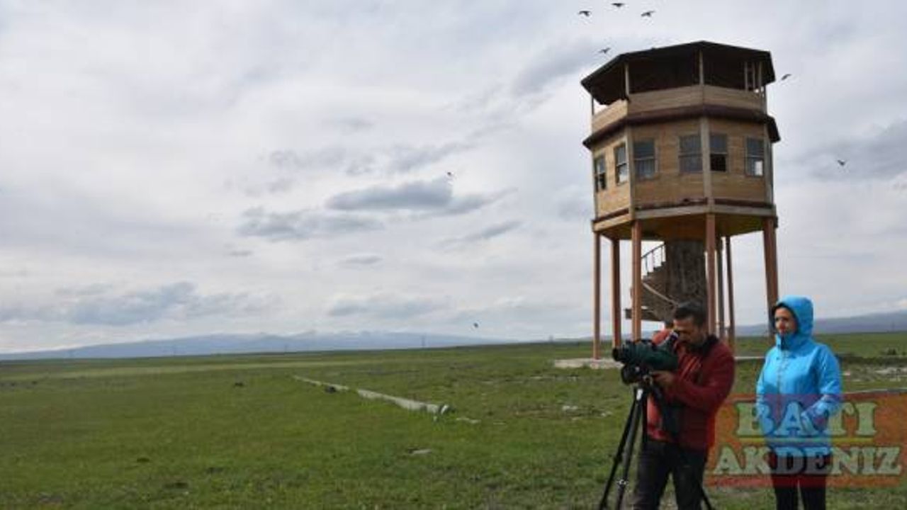 Dünya Göçmen Kuşlar Günü'nde Kuyucuk Gölü'nde 23 tür kuş tespit edildi