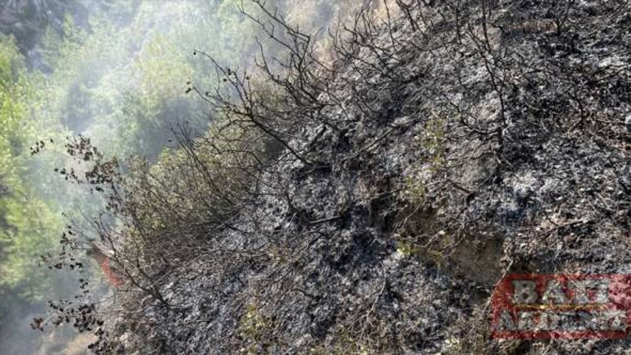 Hatay'da çıkan orman yangını kontrol altına alındı