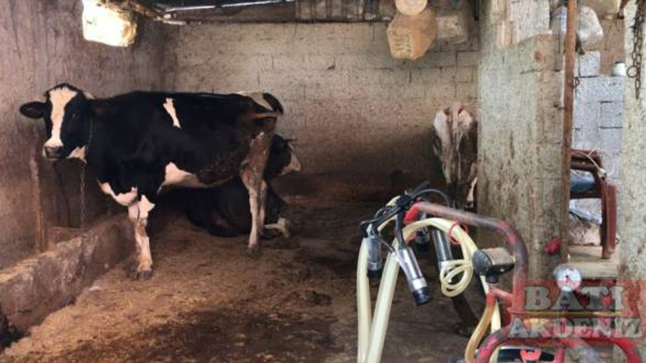 Adana'da ahırda elektrik akımına kapılan çocuk hayatını kaybetti