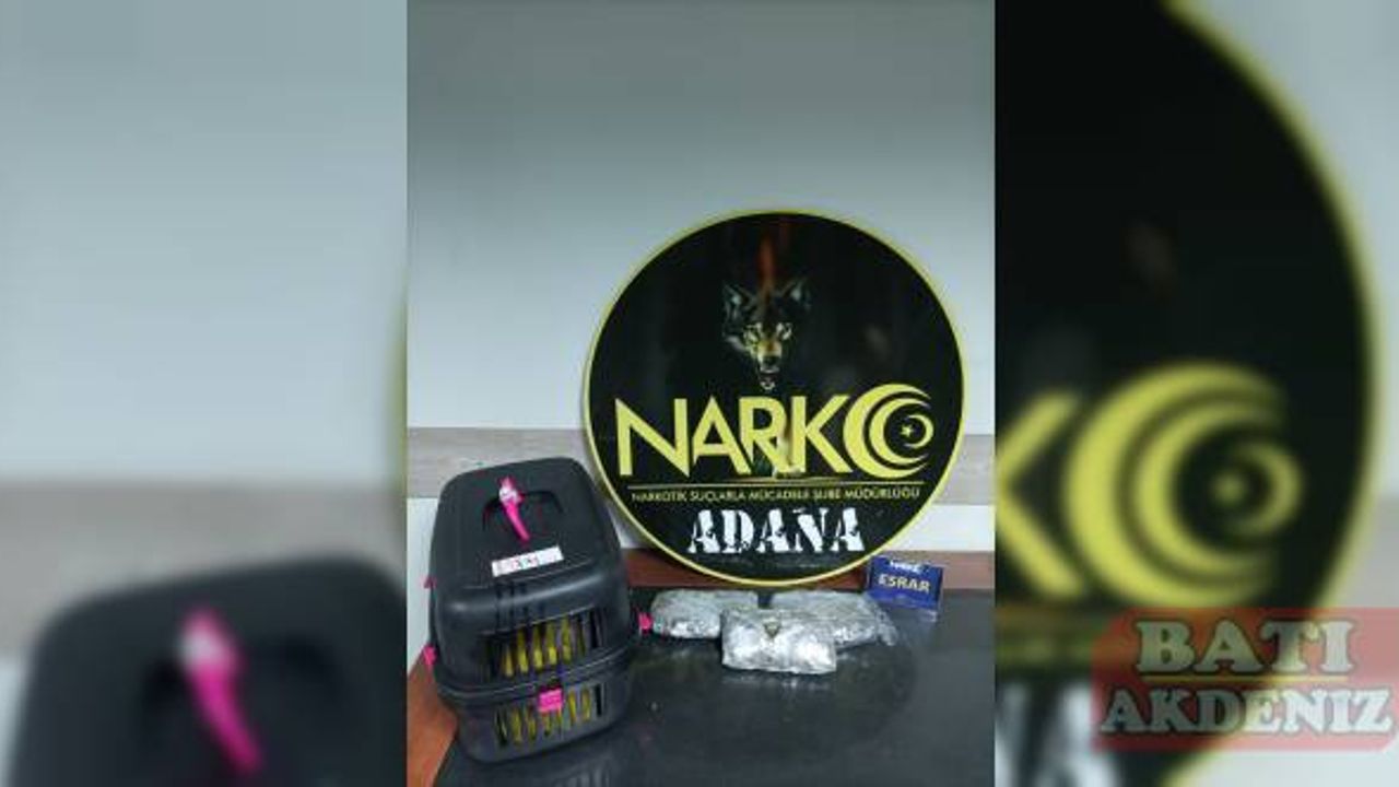 Adana'da kedi kafesinde 480 gram esrar ele geçirildi