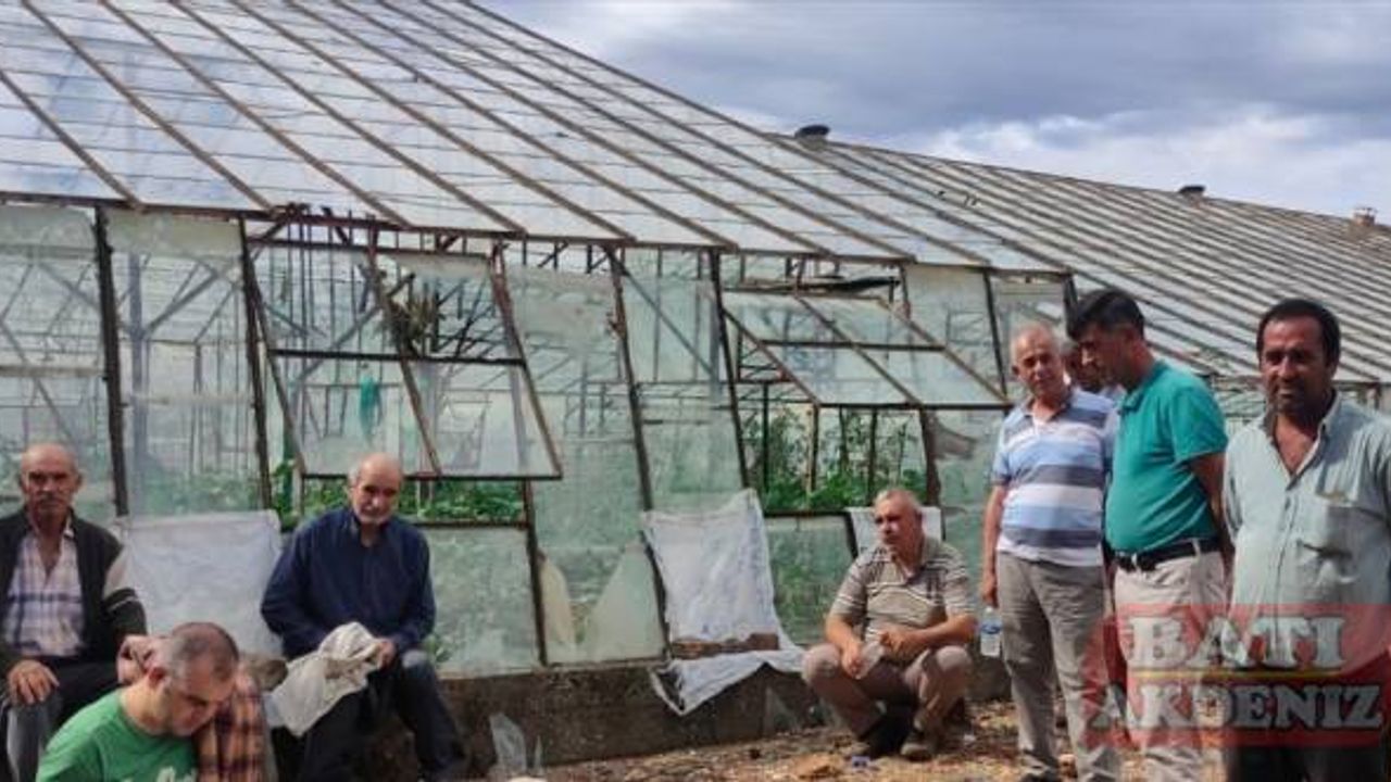 Antalya'da dolu ve fırtınadan etkilenen tarım alanlarında hasar tespiti yapılıyor