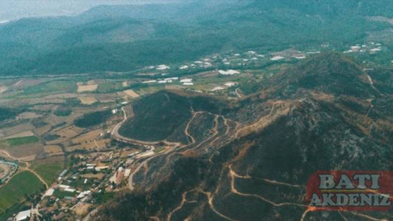 Isparta'da yanan ormanlık alan yeşermeye başladı