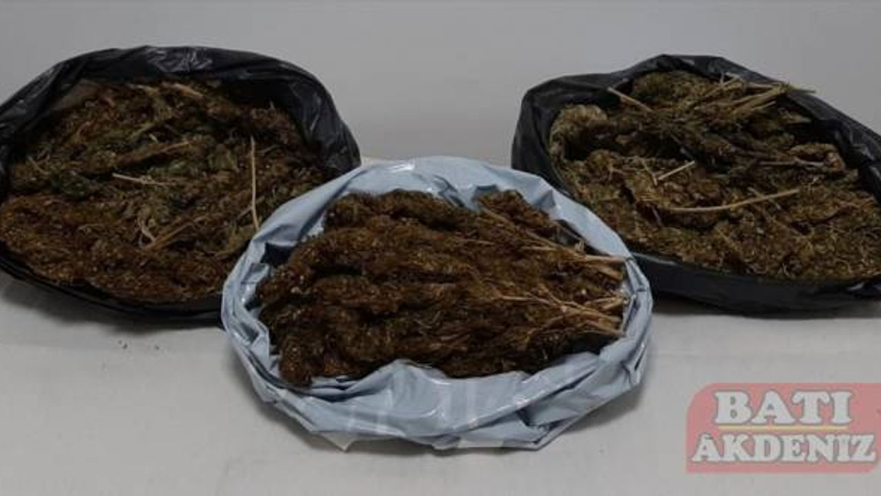 Mersin'de 10 kilo 248 gram skunk ele geçirildi