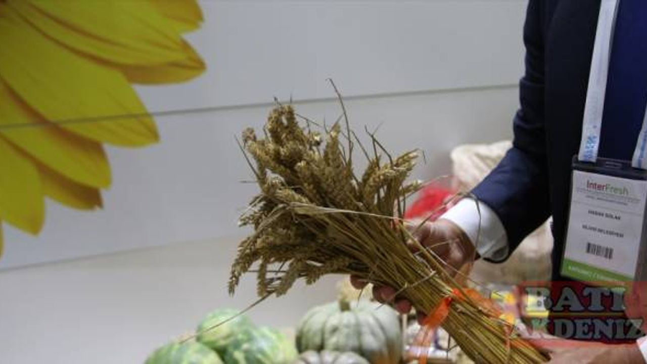 Silivri'de üretilen yerli tohumlar, Antalya'da yabancı alım heyetlerine tanıtıldı