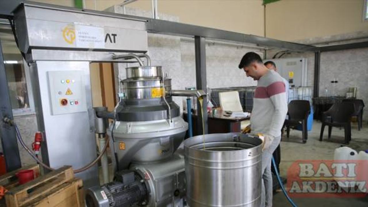 Hatay'da 270 bin ton zeytin rekoltesi bekleniyor