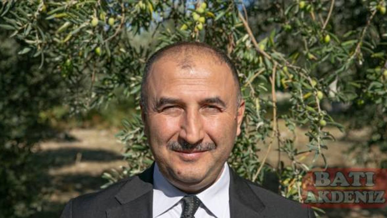 Hatay'da 270 bin tonun üzerinde zeytin rekoltesi bekleniyor