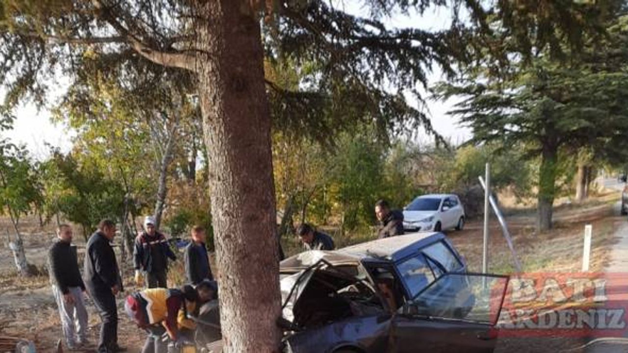 Isparta'da ağaca çarpan otomobildeki 4 üniversite öğrencisinden biri öldü, 3'ü yaralandı