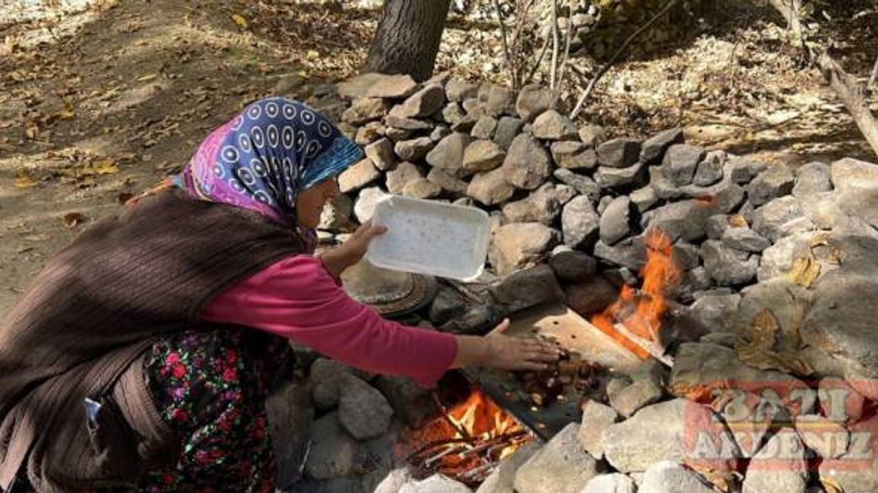 Isparta'da mahalle sakinlerinin "kestane toplama nöbeti" sürüyor