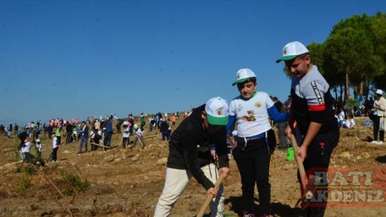 Manavgat'ta geçen yıl yanan alanlara fidan dikildi