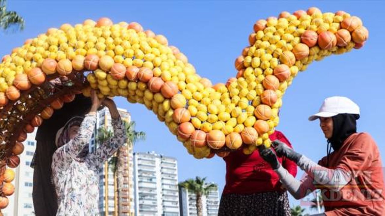 Mersin'de festival için 100 ton narenciyeden figürler hazırlanıyor