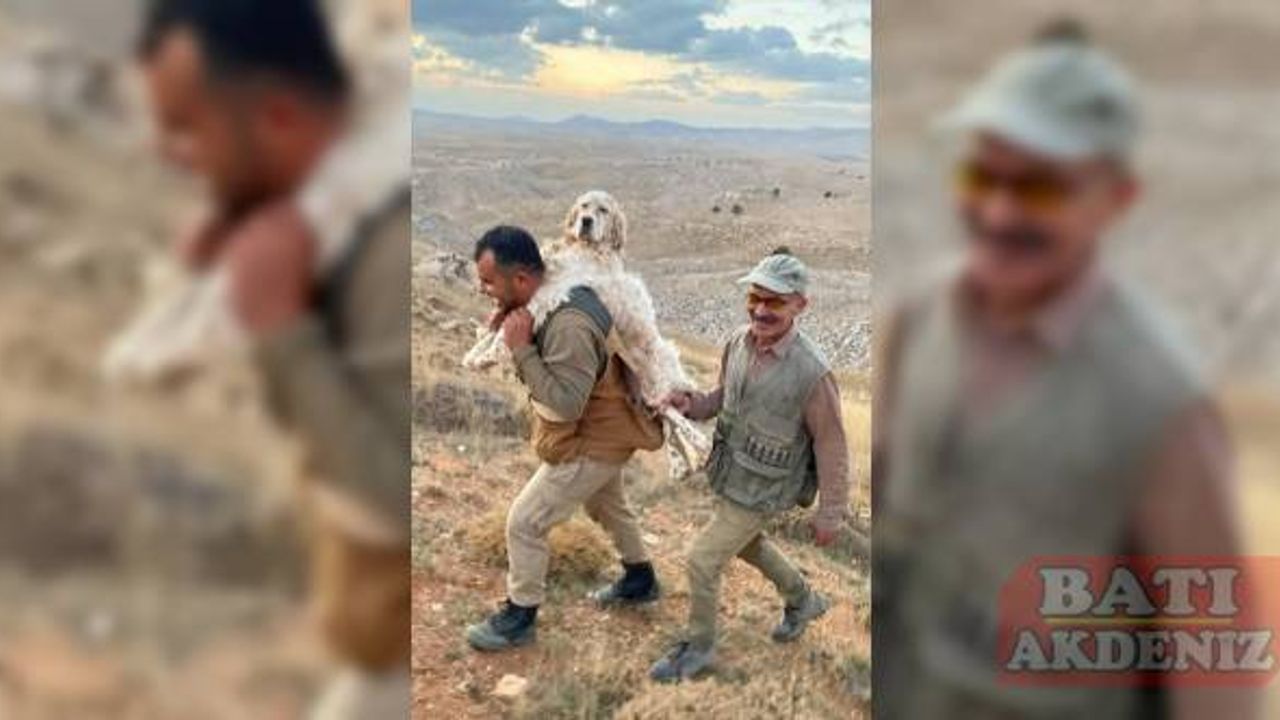 Mersin'de yaylaya çıkan kişi, yorulan köpeğini sırtında taşıdı
