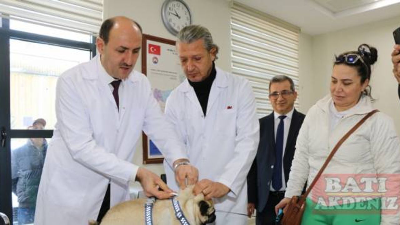 Adana'da 15 bin ev hayvanı kimliklendirilerek kayıt altına alındı