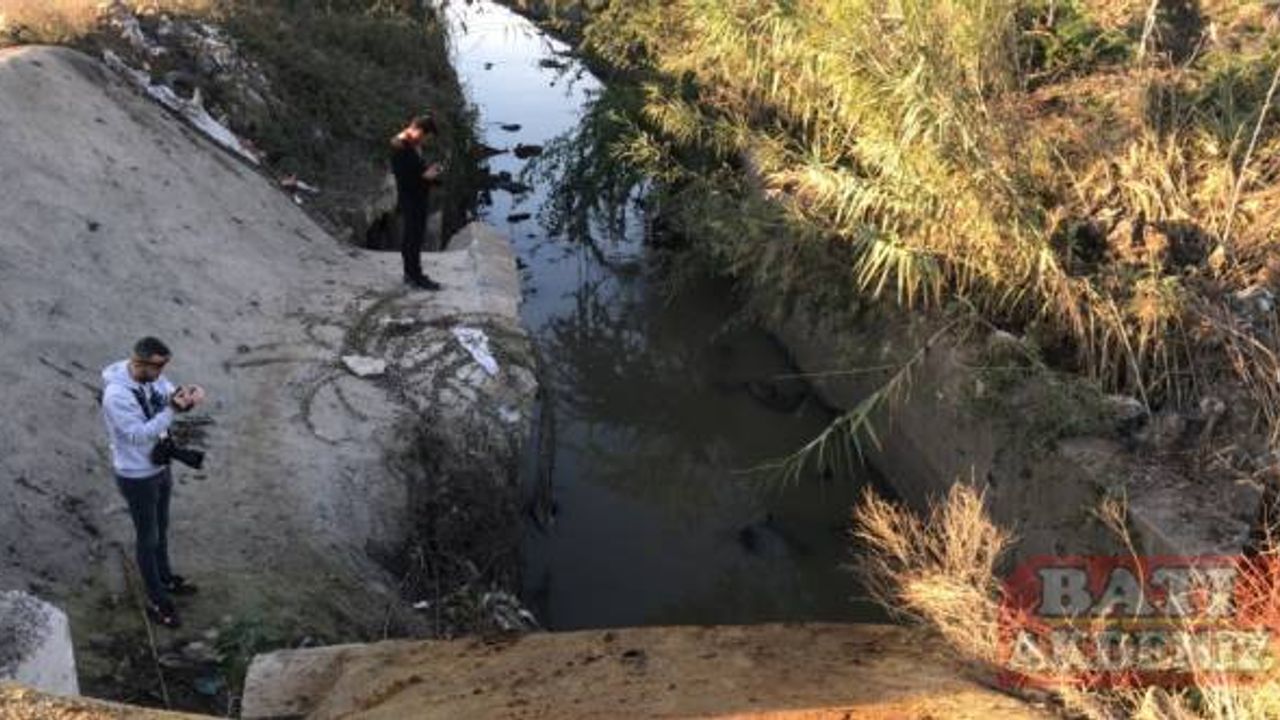 Adana'da çok sayıda eşek başı ve kemikleri bulundu