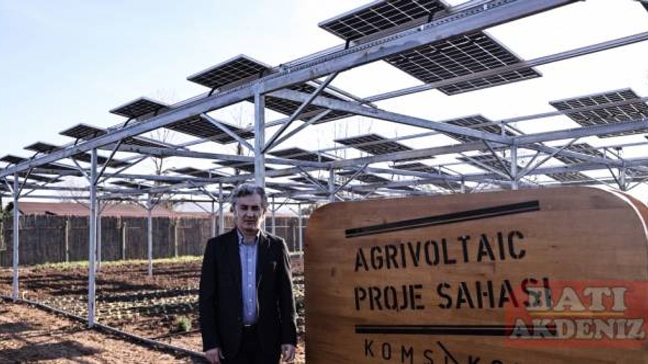 Agrivoltaik sistemle tarım ürünleri ve güneş panelleri aynı tarlada buluştu