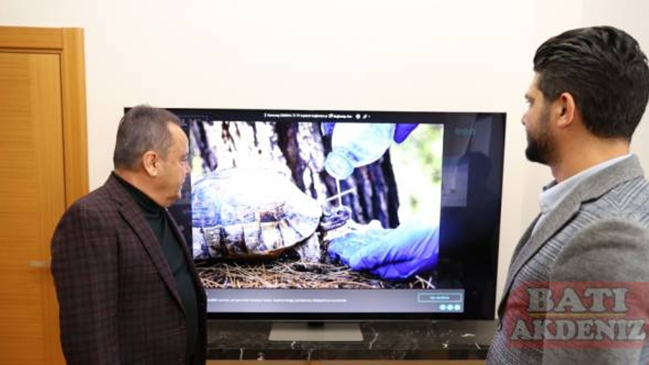 Antalya Büyükşehir Belediye Başkanı Böcek, AA'nın “Yılın Fotoğrafları“ oylamasına katıldı: