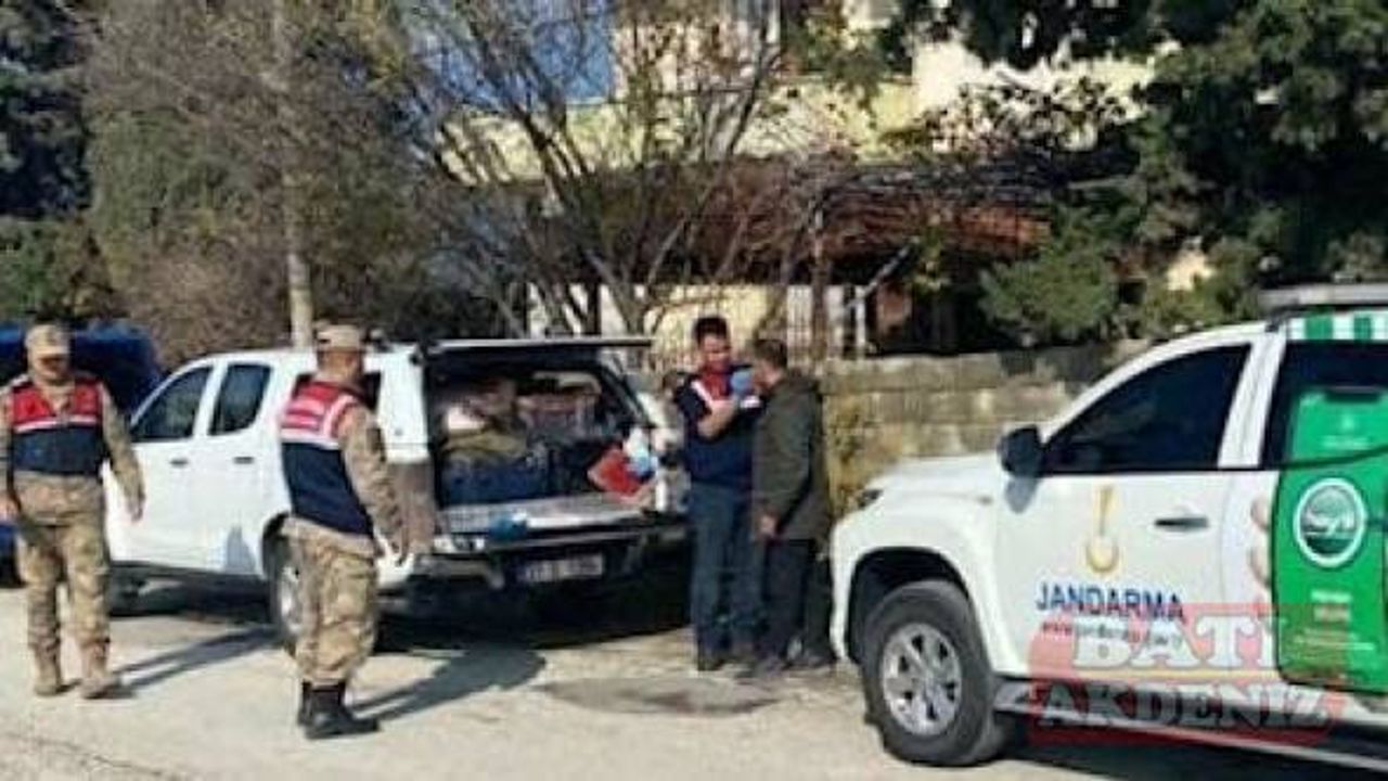 Hatay'da sahipsiz köpeği tüfekle yaralayan şüpheli yakalandı
