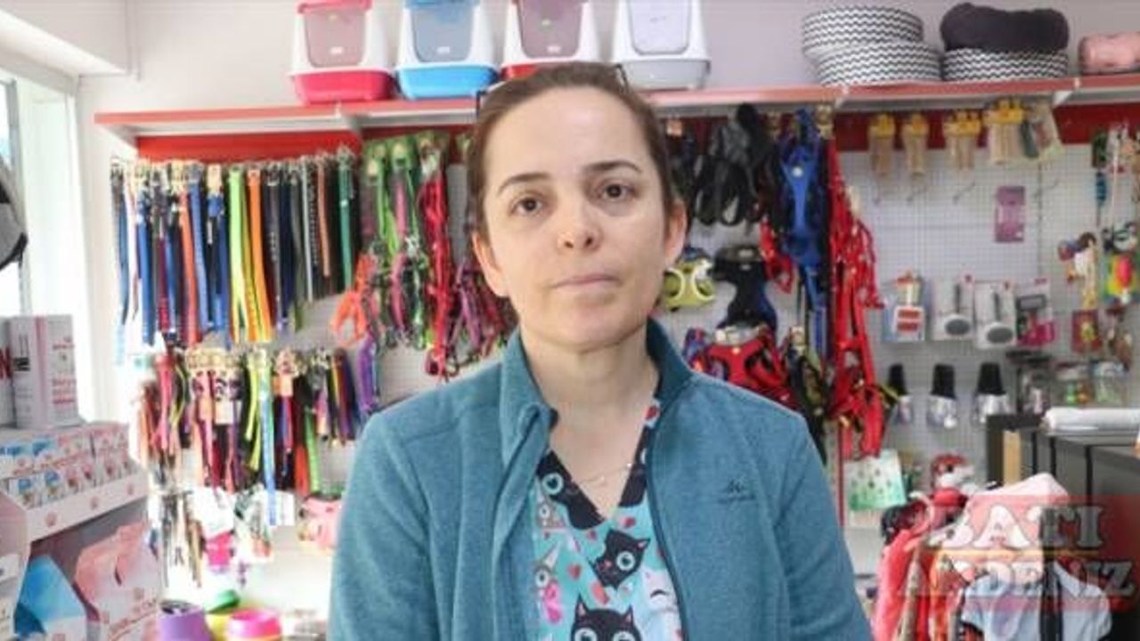 Hatay'da av tüfeğiyle ağzından vurulan köpek tedavi altına alındı