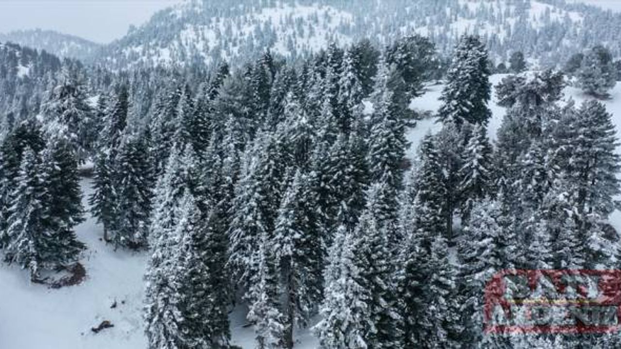 Kahramanmaraş'ta karla kaplanan alanlar havadan görüntülendi