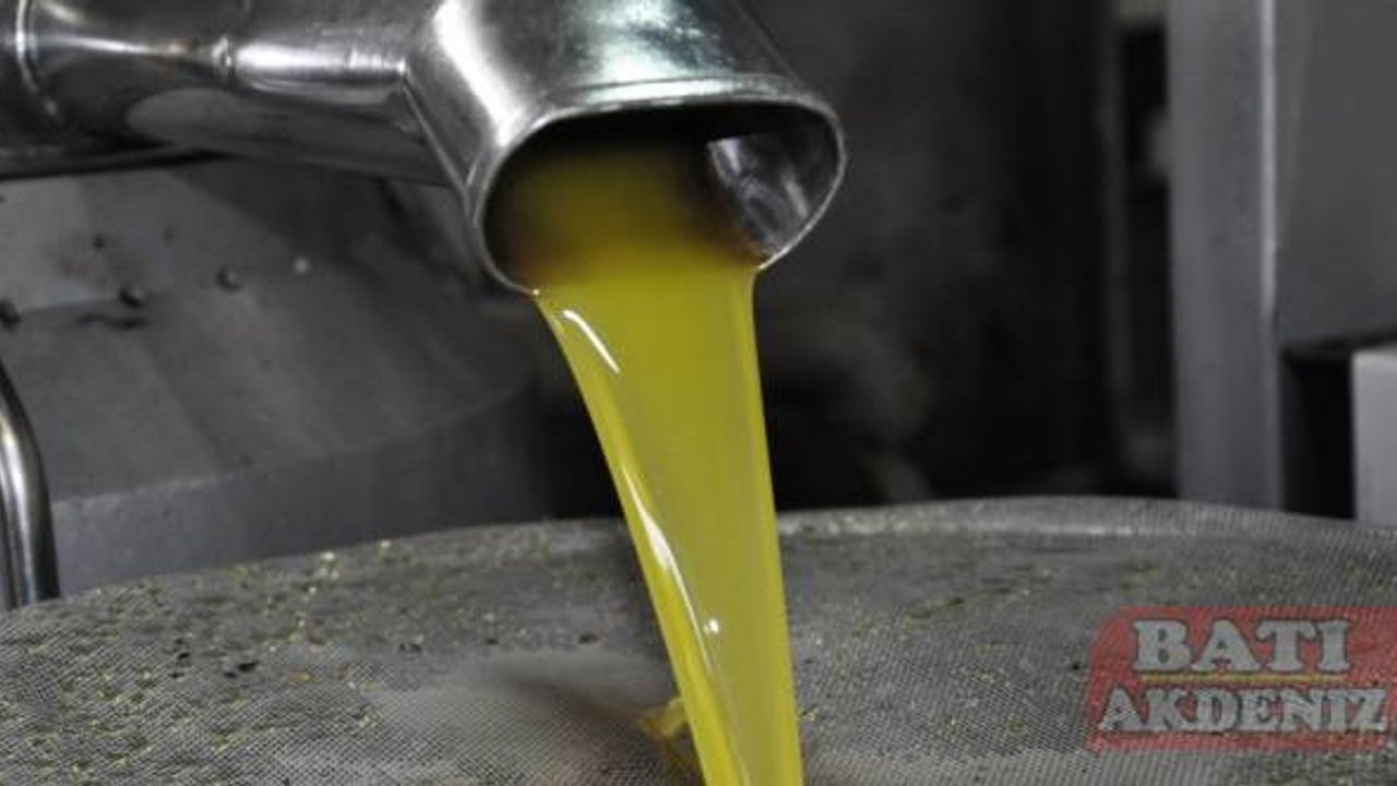 Mersin Silifke'de 28 bin ton zeytinyağı üretimi bekleniyor