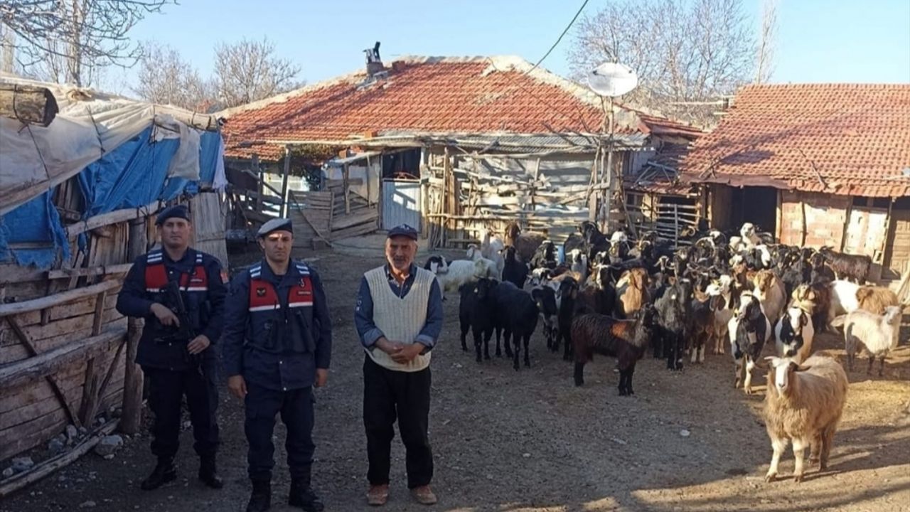 Burdur'da jandarma ekipleri kaybolan 70 keçiyi buldu