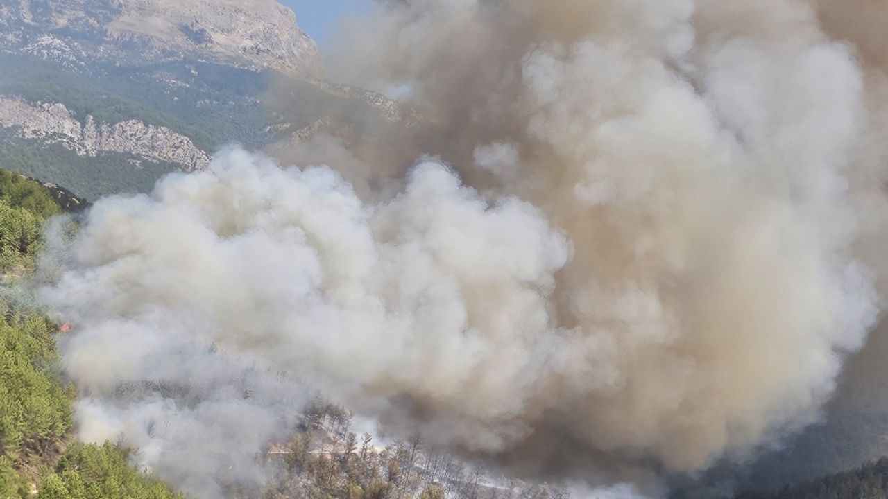 Alanya'da çıkan orman yangınına müdahale sürüyor