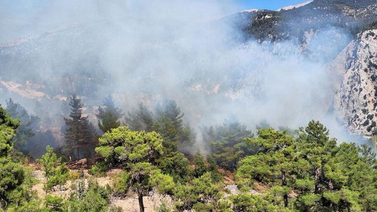 Antalya'nın Kaş ilçesinde çıkan orman yangını söndürüldü