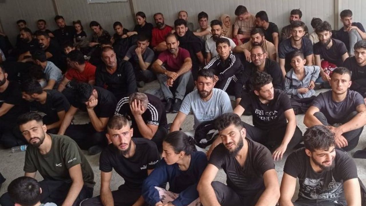 Edirne'de 89 düzensiz göçmen yakalandı