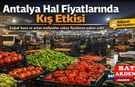 Antalya Hal Fiyatlarında Kış Etkisi: Sebze üretimi düştü Fiyatlar yükselişte