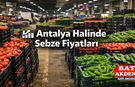 Antalya Halinde Sebze Fiyatları