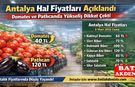 Antalya Hal Fiyatları Açıklandı: Domates ve Patlıcanda Yükseliş Dikkat Çekti