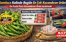 Kumluca Halinde Bugünün Kazandıranı Belli Oldu! En Çok Para Getiren Ürün Açıklandı