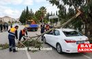 Kumluca Karşıyaka’da Kırılan Ağaç Dalı Aracın Üzerine Düştü!