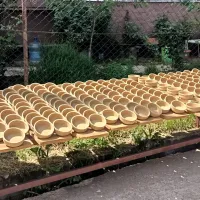 YAŞAM