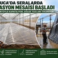 KUMLUCA