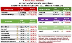 Antalya Hal Fiyatları