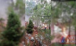 Adana ve Osmaniye'de çıkan 4 orman yangını kontrol altına alındı