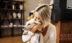 Adana'da komşusu tarafından darbedildiğini öne süren kadın şikayetçi oldu