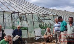 Antalya'da dolu ve fırtınadan etkilenen tarım alanlarında hasar tespiti yapılıyor