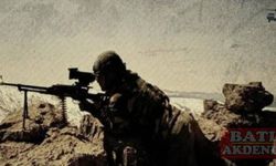 Barış Pınarı'nda 2 terörist etkisiz!