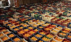 Interfresh Eurasia Yaş Meyve Sebze Fuarı, ithalatçı ile ihracatçıları Antalya'da buluşturacak