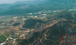 Isparta'da yanan ormanlık alan yeşermeye başladı