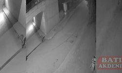 Mersin'de bahçedeki mazgalın çalınması güvenlik kamerasında