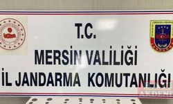 Mersin'de 80 bronz sikke ve 2 obje ele geçirildi
