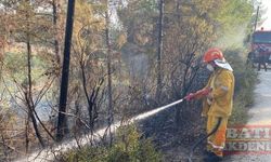 Osmaniye'de çıkan orman yangını söndürüldü