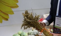 Silivri'de üretilen yerli tohumlar, Antalya'da yabancı alım heyetlerine tanıtıldı